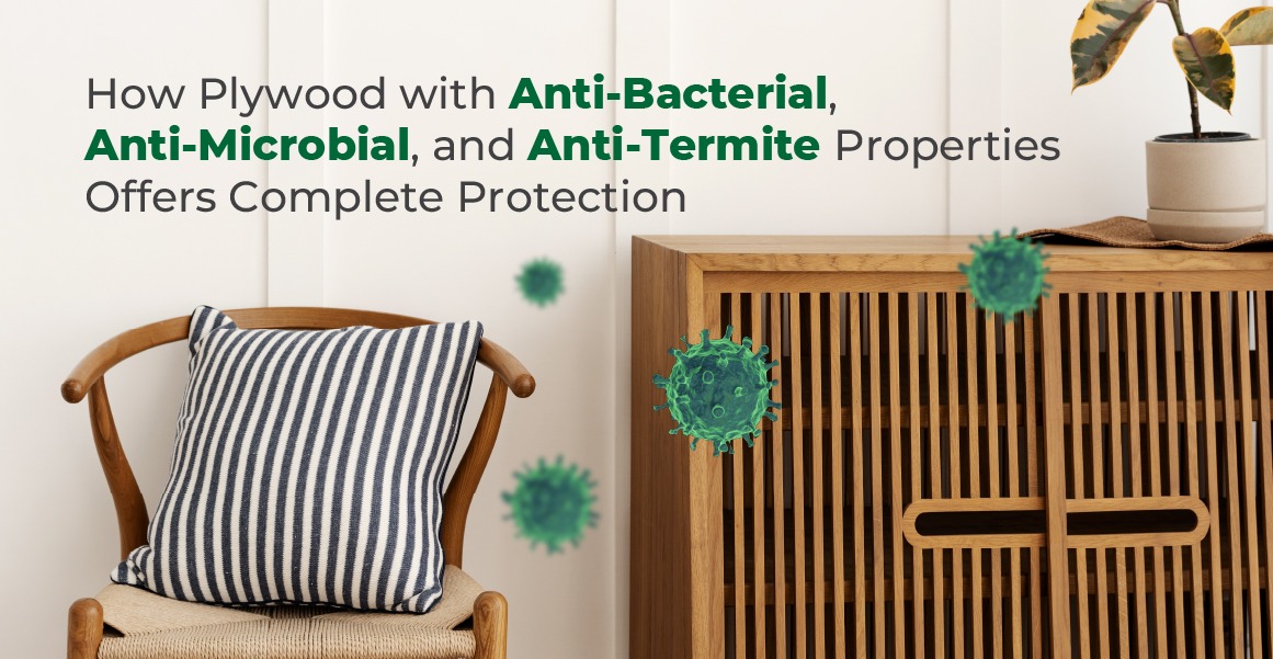 How-Plywood-with-Anti-Bacterial-Anti-Microbial-and-Anti-Termite-Properties-Offers-Complete-Protection