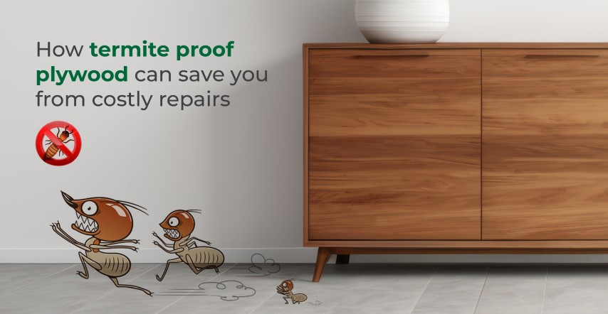 How-Termite-Proof-Plywood-Can-Save-You-from-Costly-Repairs