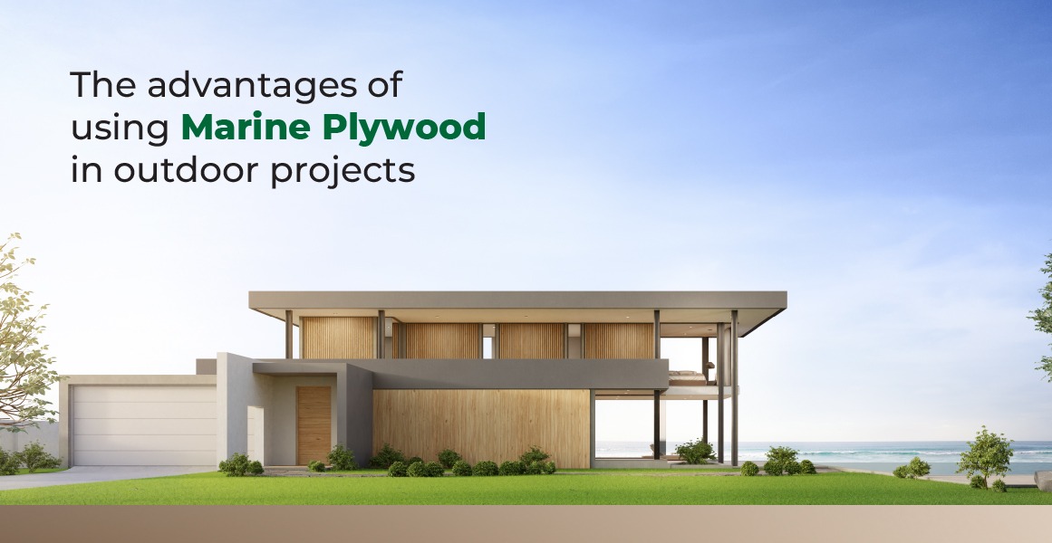 Plywood