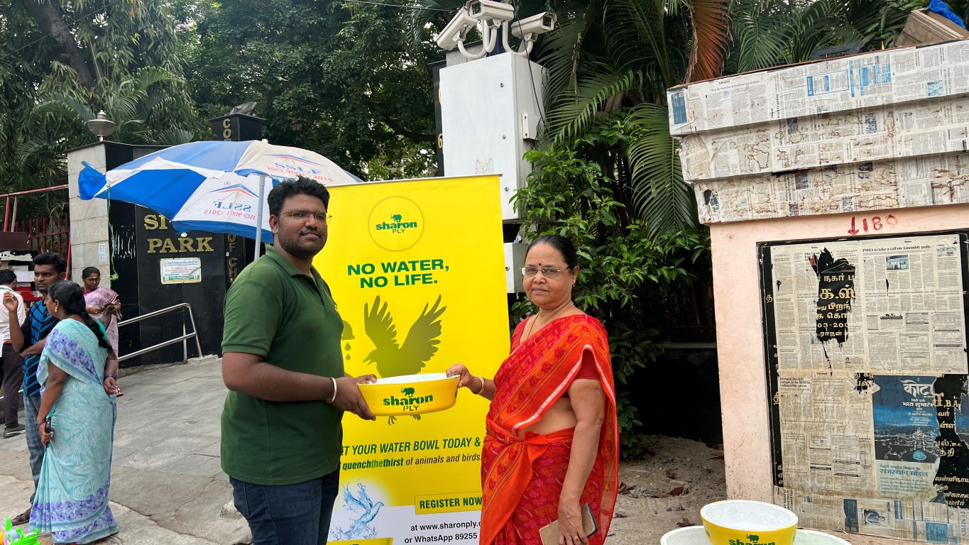 Highlight 14