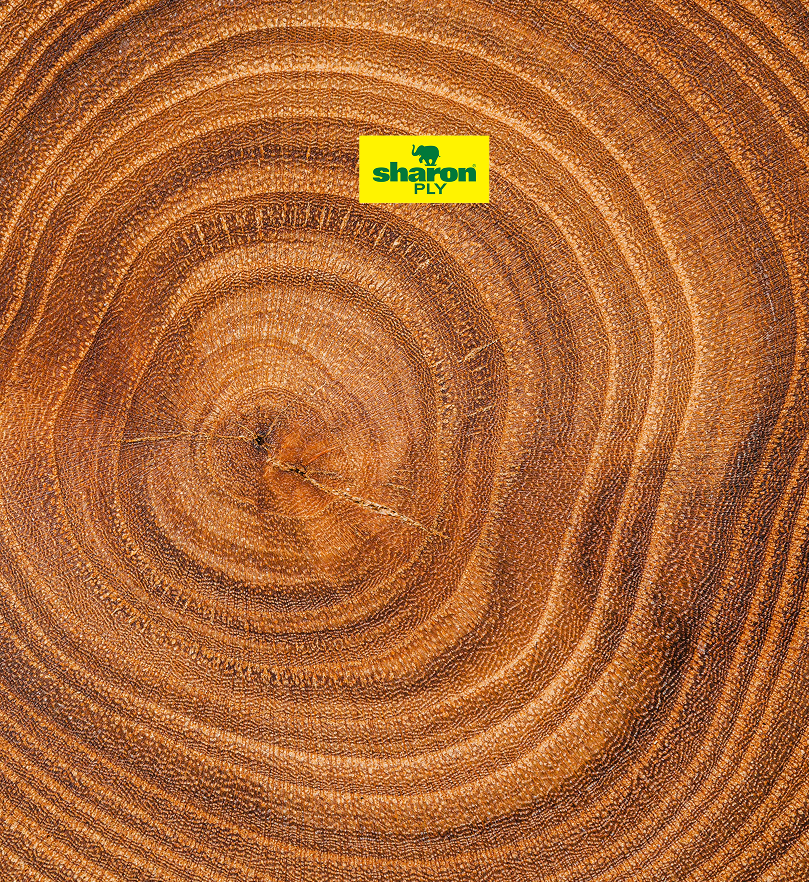 Teak