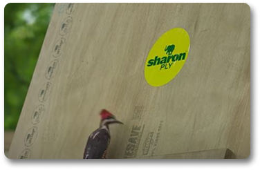 Video 2